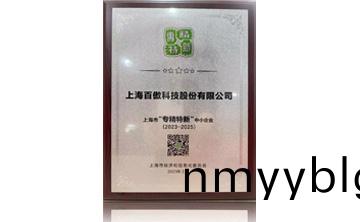 上(shang)海市“專精特新”中小企業