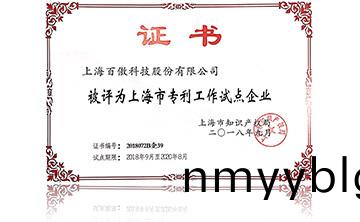 上海(hai)市專利工作(zuo)試點企業(ye)